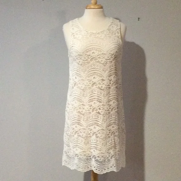 Francesca's Collections | Dresses | Francescas White Lace Lined Sleeveless  Keyhole Back Shift Dress Size Large | Poshmark